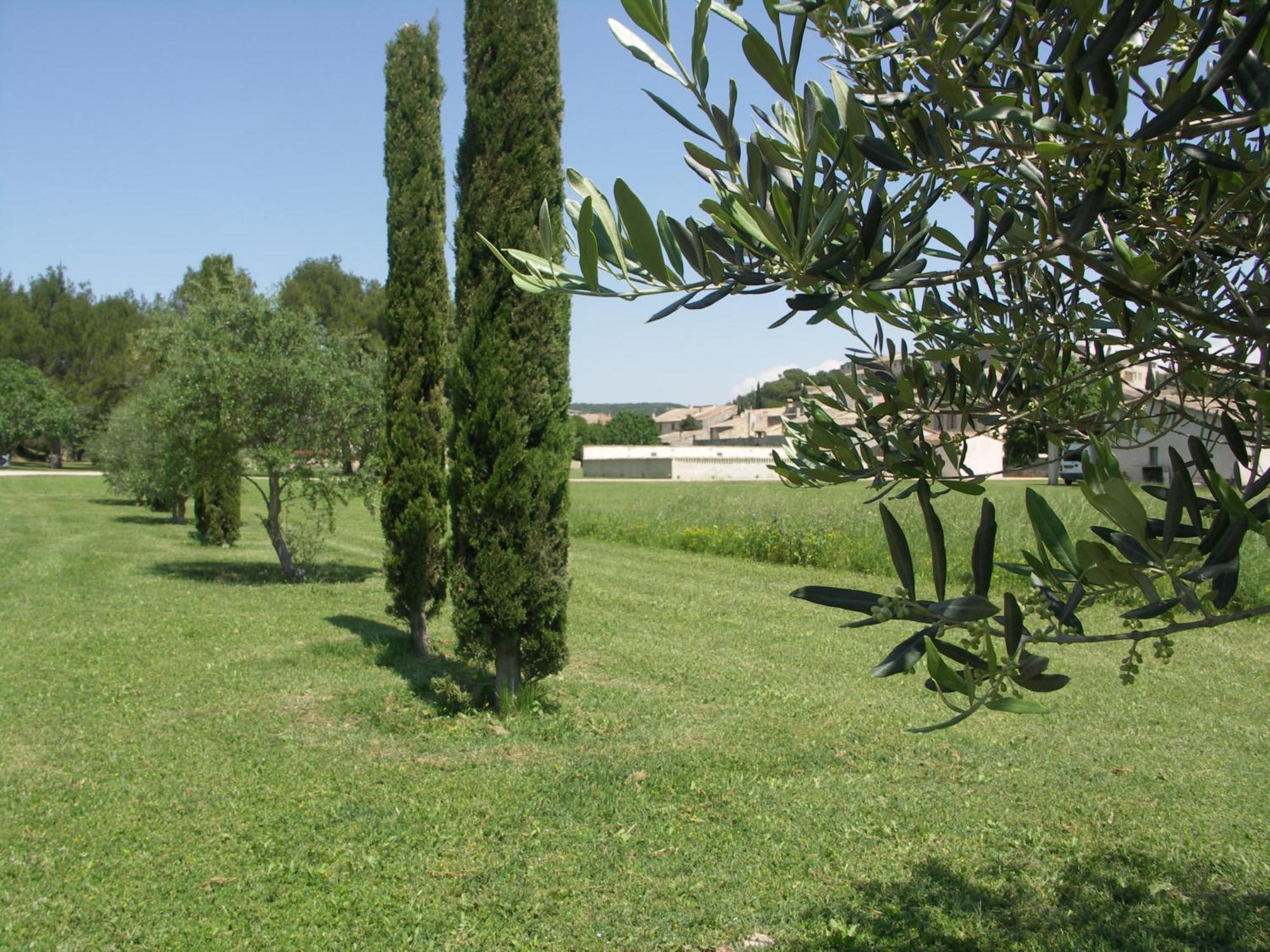 Domaine Saint Martin Hotel Valliguieres Екстериор снимка